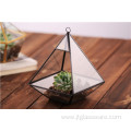 Super Large Shape Hanging Glass Plant Terrarium Geometric